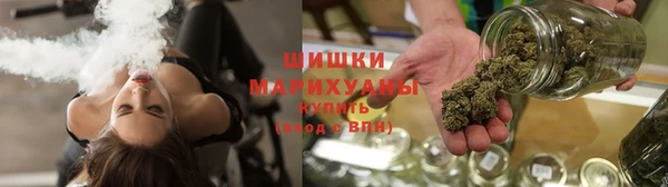 гидра Дегтярск