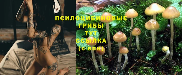 COCAINE Арсеньев