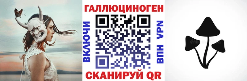 Галлюциногенные грибы Psilocybe  Изобильный 